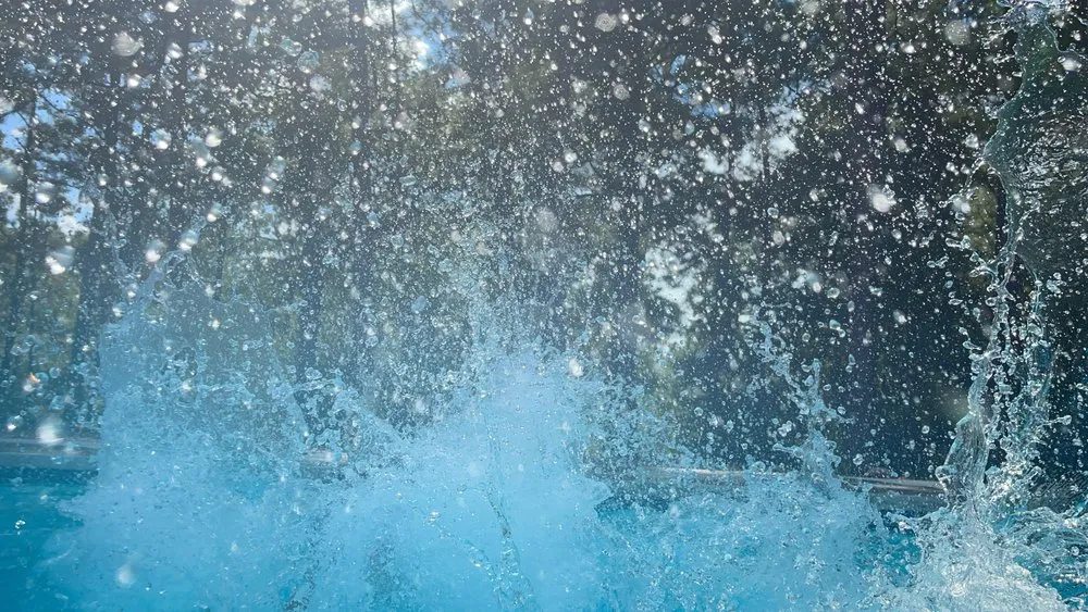 Expert garden landscaping in La Grange, TX - Opal Pools