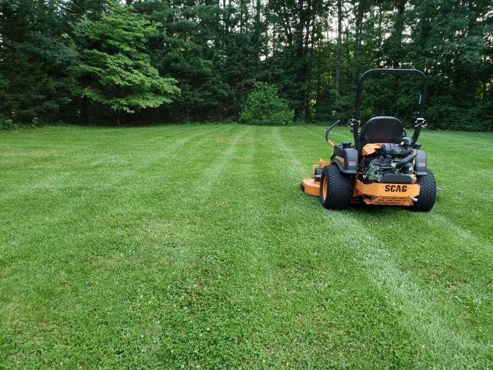 Local yard cleanup service for outdoor upgrades in Bealeton, VA by Opal Services