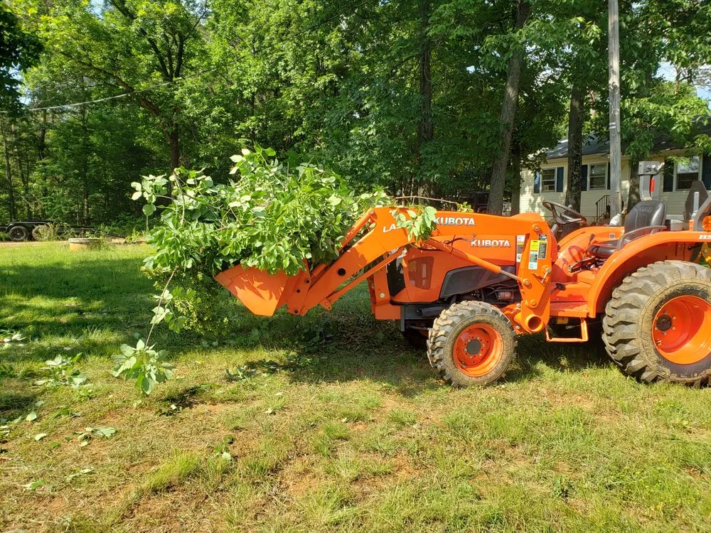 Reliable yard cleanup service in Bealeton, VA - Opal Services