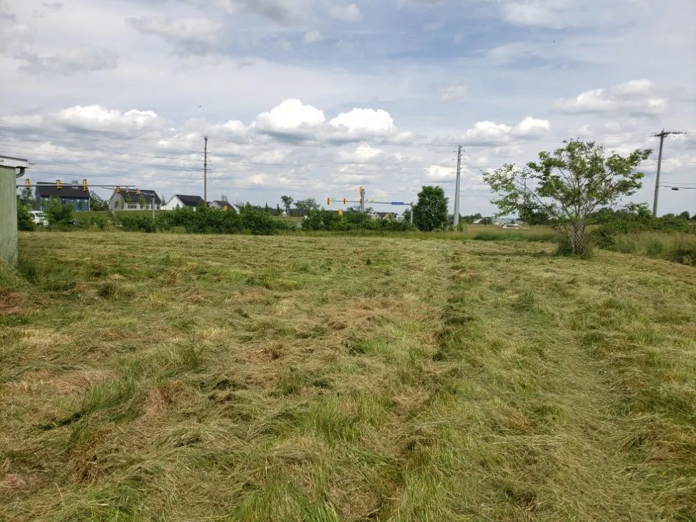 Top-rated yard maintenance in Bealeton, VA - Opal Services