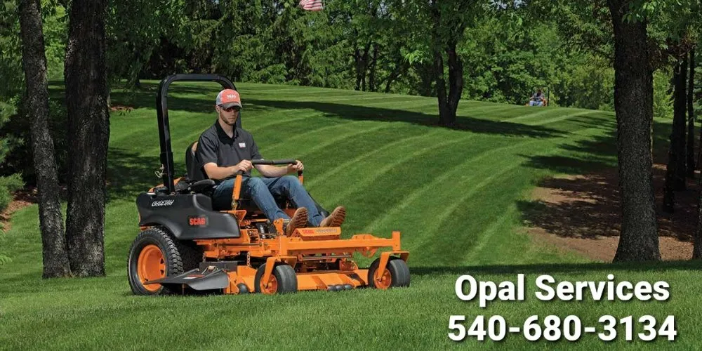 Trusted garden landscaping for year-round maintenance across Bealeton, VA - Opal Services