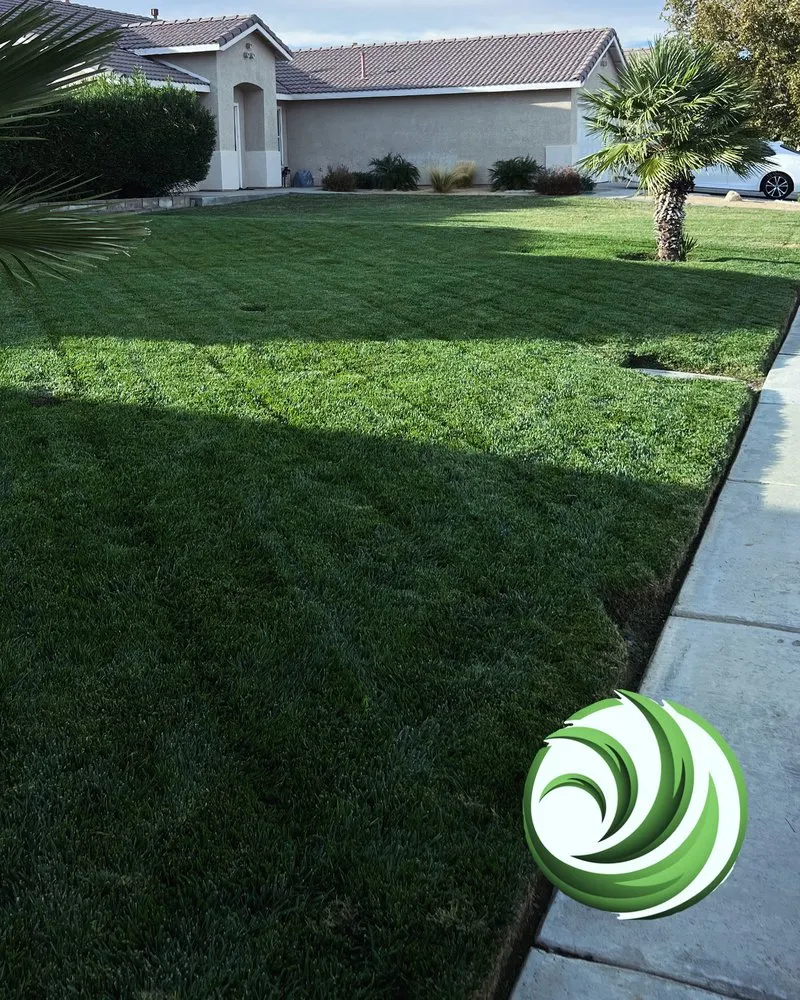 Reliable yard maintenance experts serving Lancaster, CA - Opal View