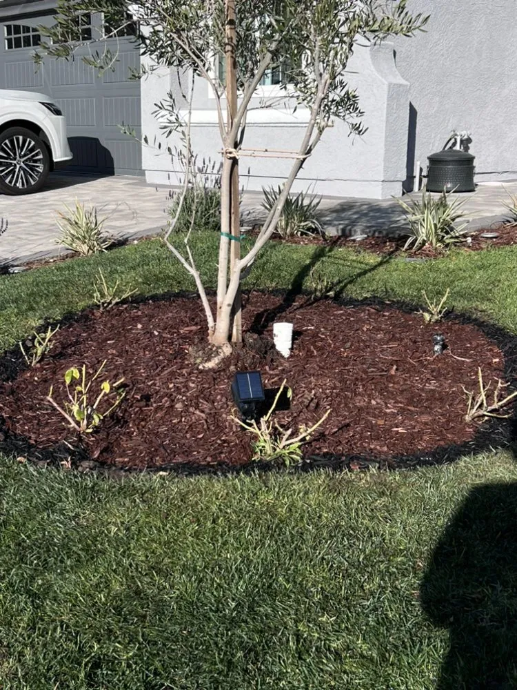 Expert outdoor landscaping in Lancaster, CA - Opal View