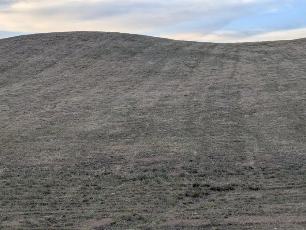 Affordable yard maintenance experts serving Cheyenne, WY - Open Range Mowing and Property Maintenance