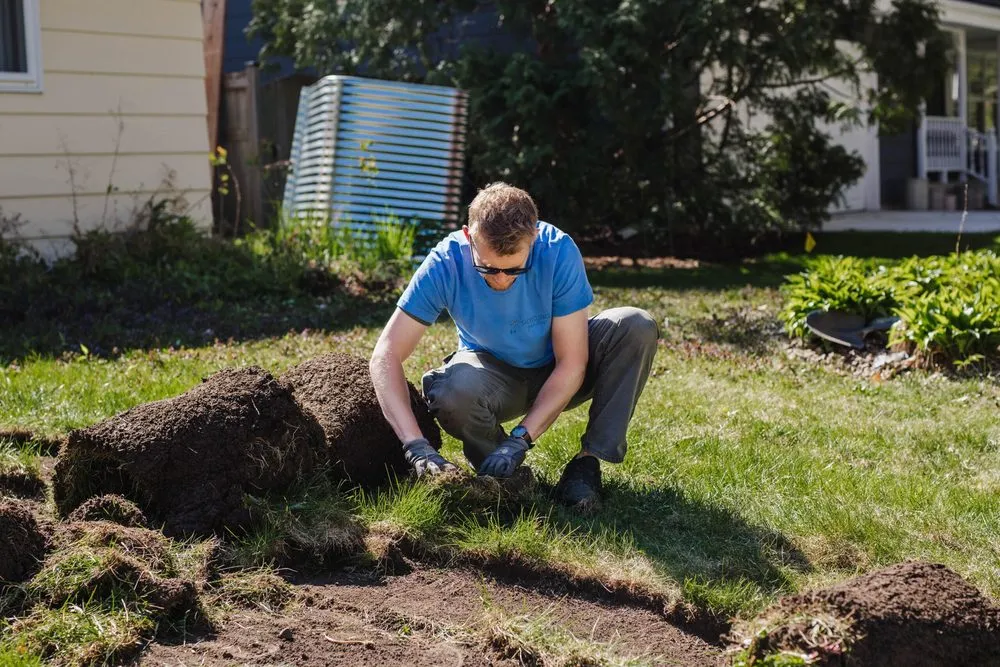 Affordable residential landscaping in Minneapolis, MN - Open Space Gardens