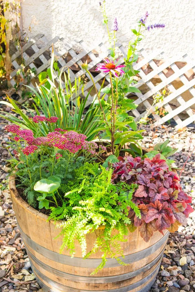 Expert garden landscaping in Minneapolis, MN by Open Space Gardens