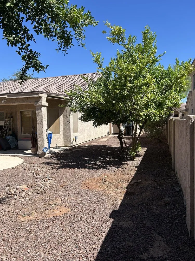 Expert garden landscaping experts serving Tempe, AZ - Open View Landscape And Tree Service