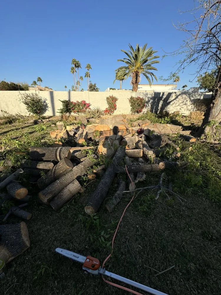 Professional lawn care service for residential properties across Tempe, AZ - Open View Landscape And Tree Service