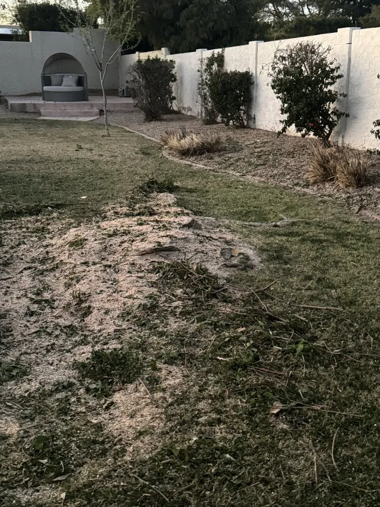 Top-rated residential landscaping for homes across Tempe, AZ - Open View Landscape And Tree Service