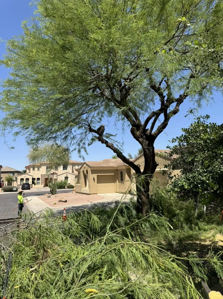 Top-rated garden landscaping in Tempe, AZ by Open View Landscape And Tree Service