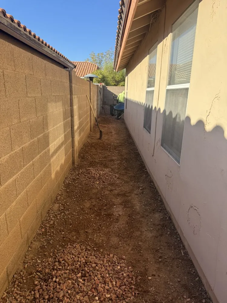 Top-rated yard maintenance in Tempe, AZ - Open View Landscape And Tree Service