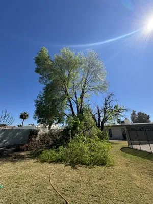Open View Landscape And Tree Service