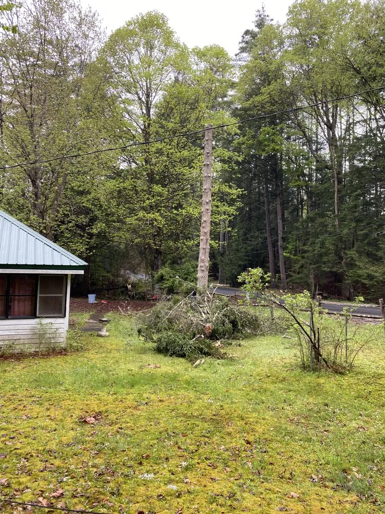 Top-rated landscape design for outdoor upgrades across South Glens Falls, NY - Open View Property Manangement