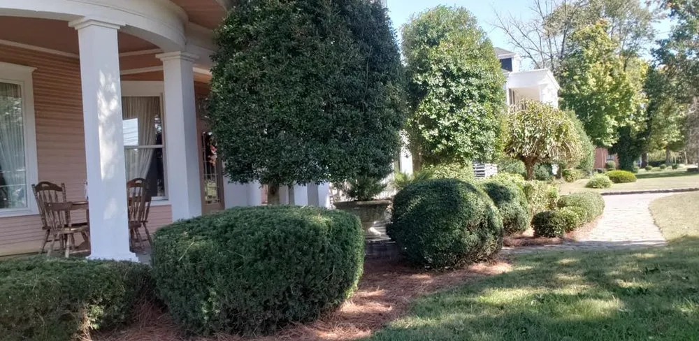 Expert lawn care service in Lebanon, TN by Operation Tall Grass