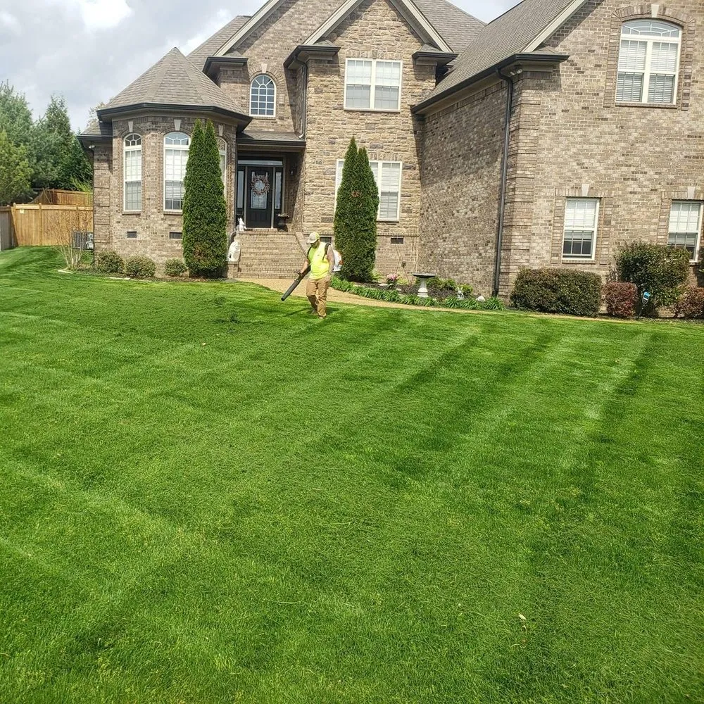 Trusted yard maintenance in Lebanon, TN by Operation Tall Grass