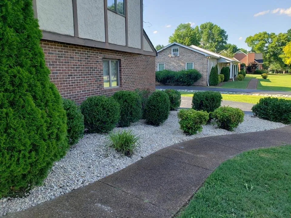 Local yard cleanup service for residential properties across Lebanon, TN - Operation Tall Grass