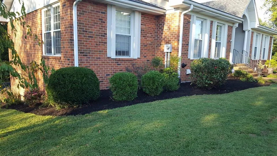Reliable landscape installation experts serving Lebanon, TN - Operation Tall Grass