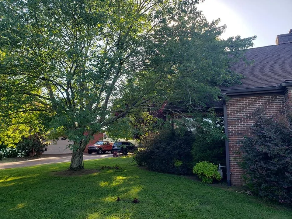 Trusted residential landscaping in Lebanon, TN by Operation Tall Grass