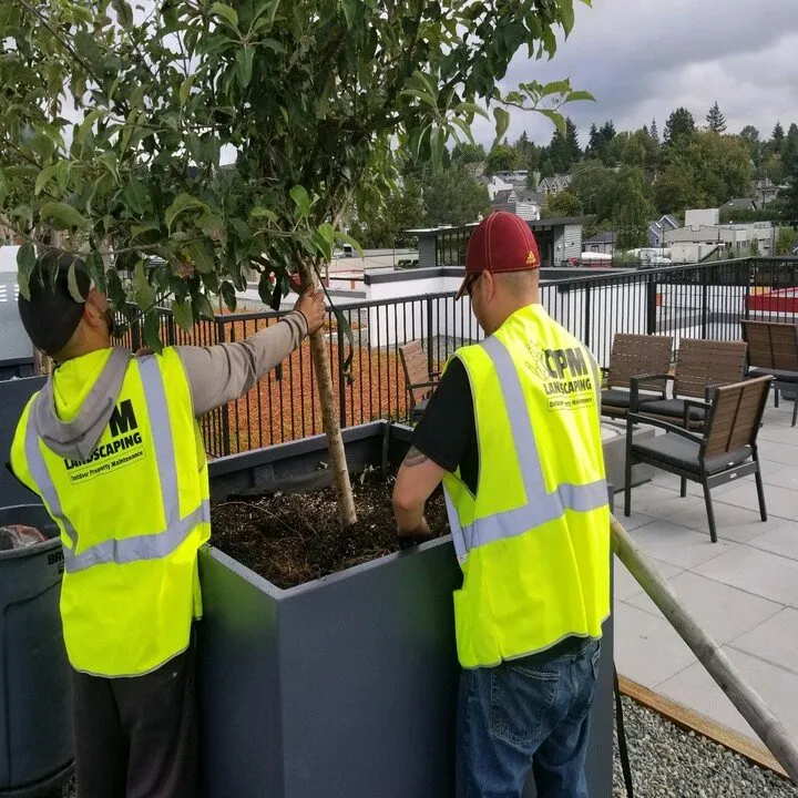 Trusted landscape design near you in Seattle, WA by OPM Landscaping
