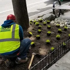 Top-rated lawn care service in Seattle, WA by OPM Landscaping