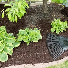 Affordable lawn mowing service for homes across Seattle, WA - OPM Landscaping