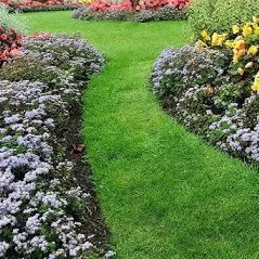 Top-rated residential landscaping for outdoor upgrades across Seattle, WA - OPM Landscaping