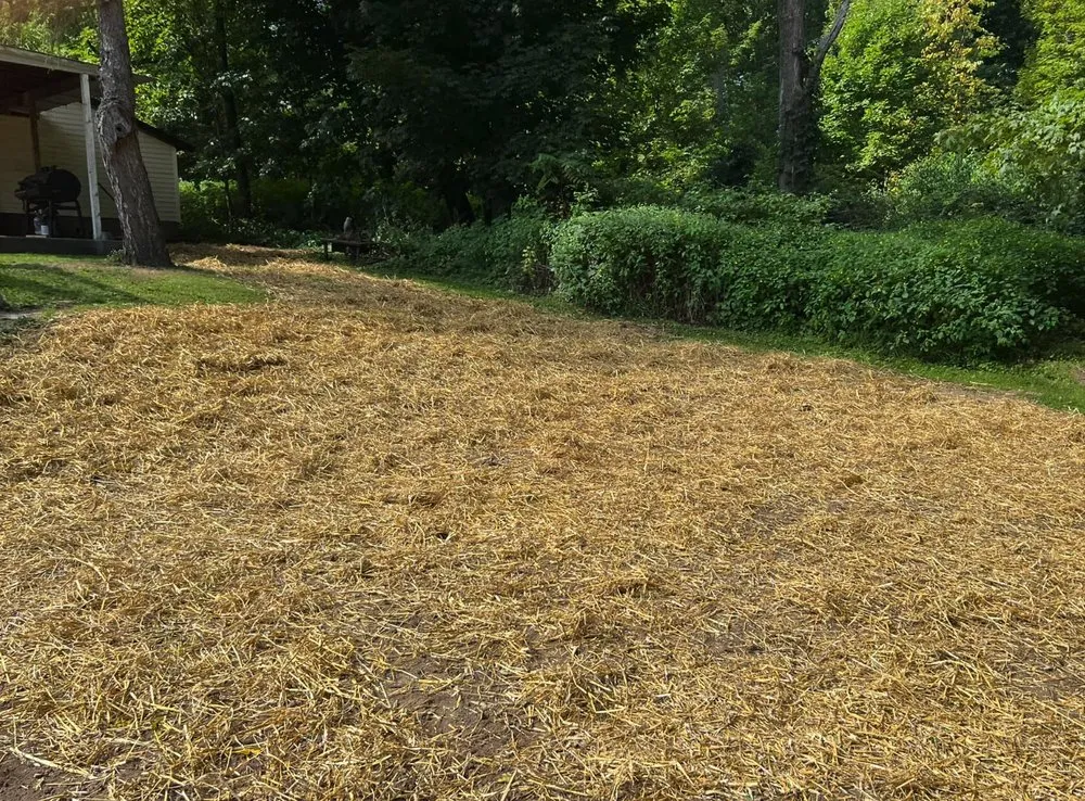 Local lawn care service in Clifton Springs, NY - OPP Excavating & Construction