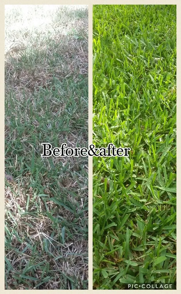 Trusted outdoor landscaping in St. Augustine, FL by Oppelt & Sons Lawn and Landscaping Service
