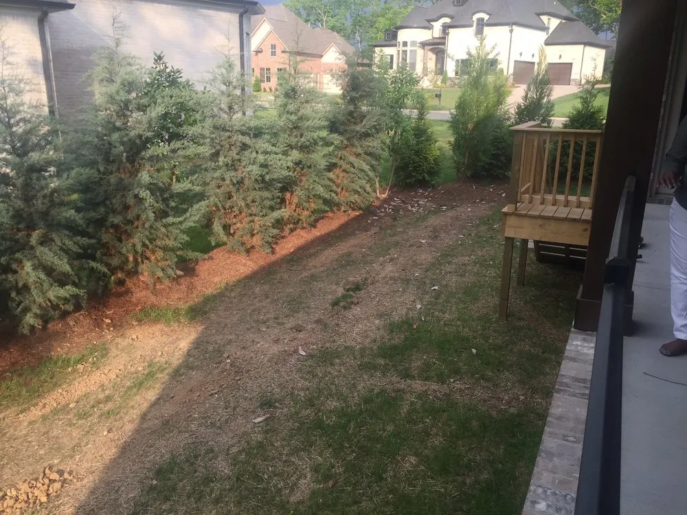 Affordable lawn care service for year-round maintenance in Nashville, TN by Opportunity Landscapes and Nursery