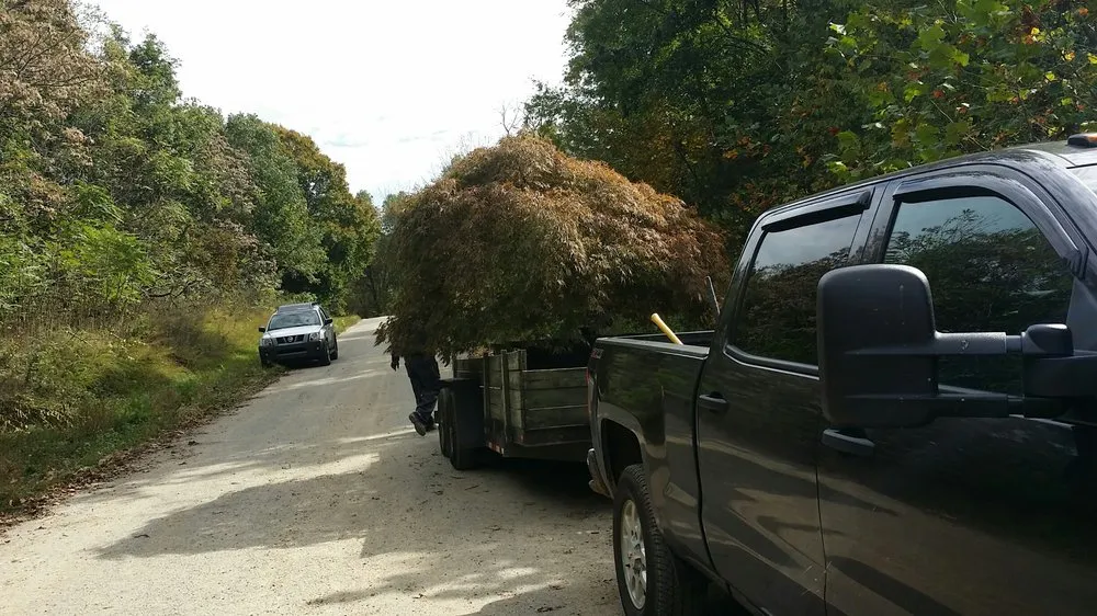 Expert garden landscaping in Nashville, TN by Opportunity Landscapes and Nursery