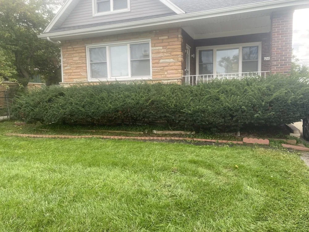 Local lawn care service for beautiful yards across Lynwood, IL - Opportunity Landscaping