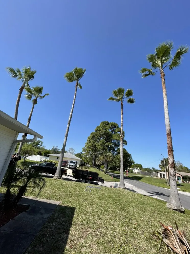 Trusted lawn care service experts serving Port Orange, FL - Opre's Tree Service