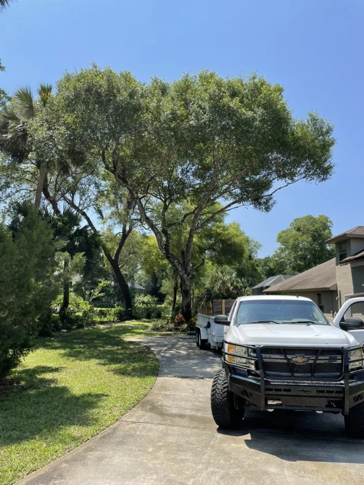 Professional landscaping services for homes in Port Orange, FL by Opre's Tree Service