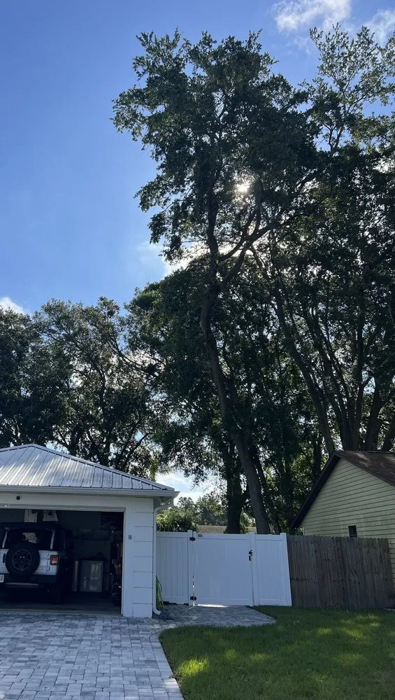 Professional lawn care service for residential properties across Port Orange, FL - Opre's Tree Service