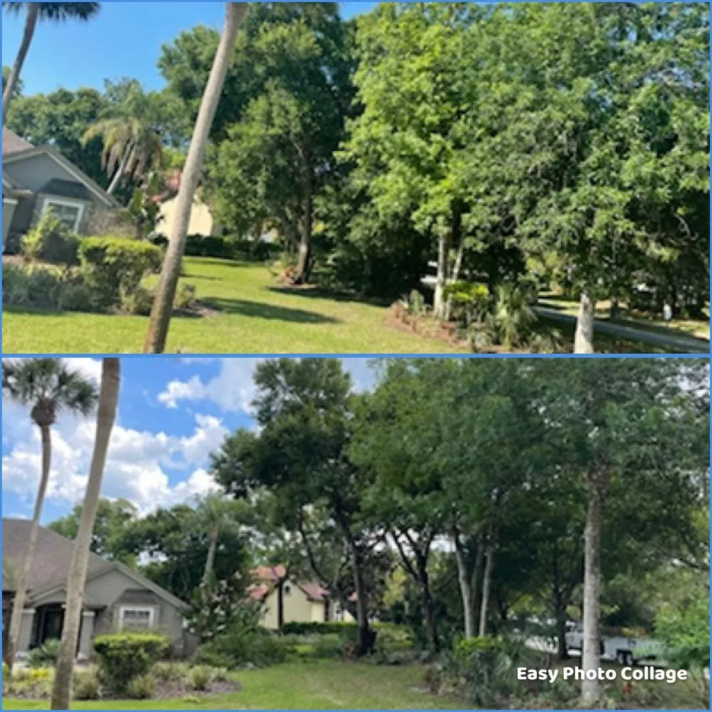 Local lawn mowing service experts serving Port Orange, FL - Opre's Tree Service