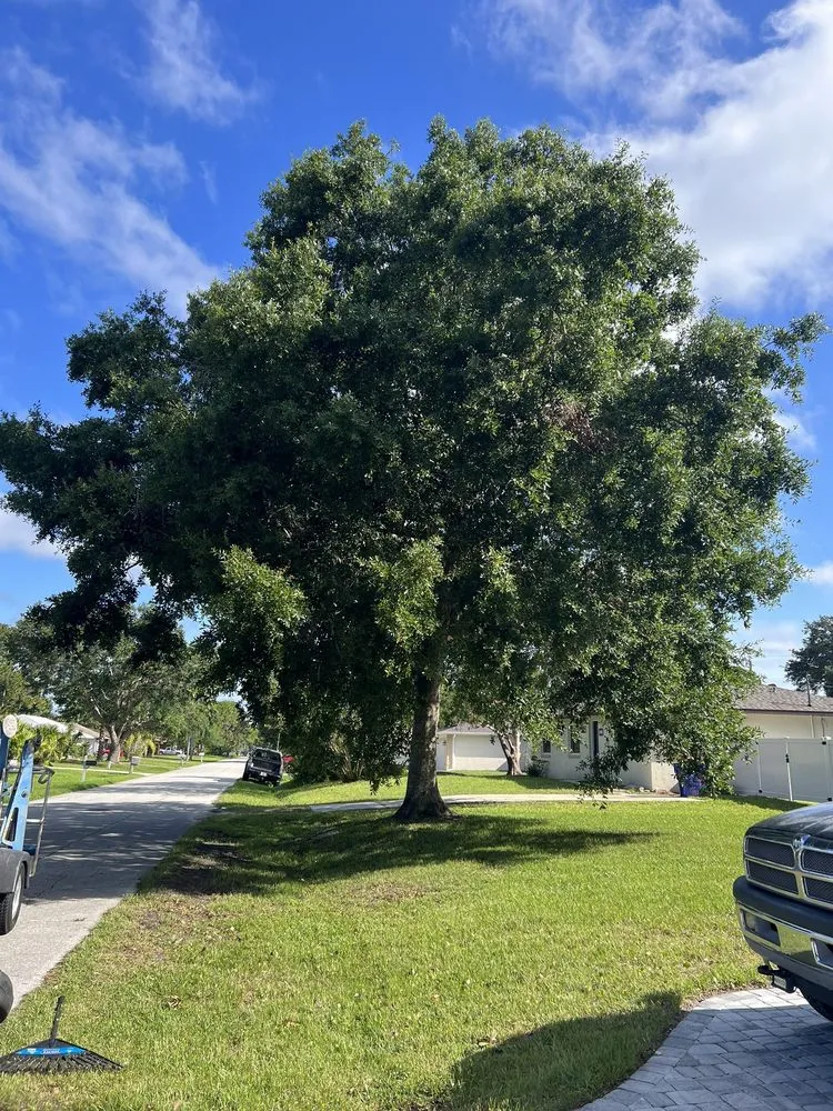 Affordable landscape installation in Port Orange, FL - Opre's Tree Service