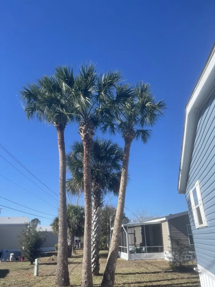 Reliable landscape design for outdoor upgrades in Port Orange, FL by Opre's Tree Service