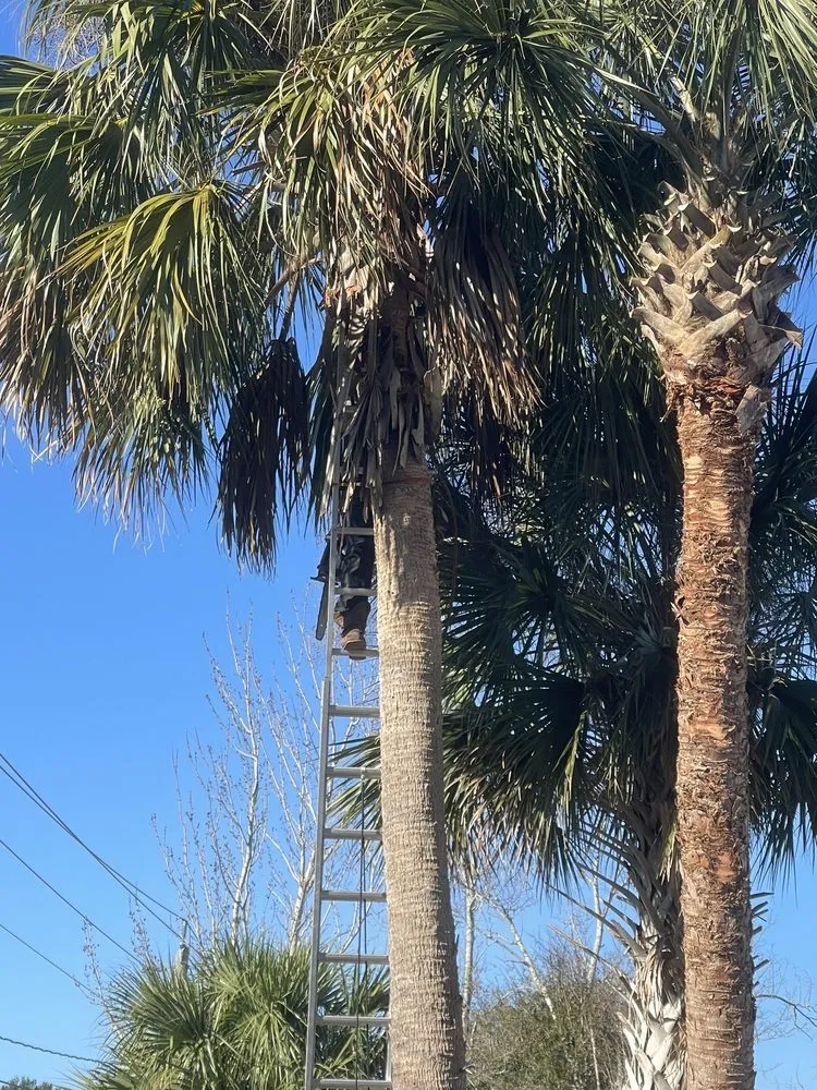 Trusted residential landscaping for outdoor upgrades across Port Orange, FL - Opre's Tree Service