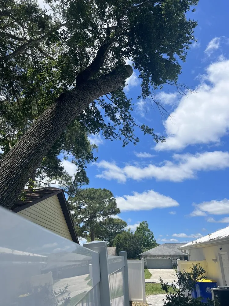 Affordable yard maintenance in Port Orange, FL - Opre's Tree Service