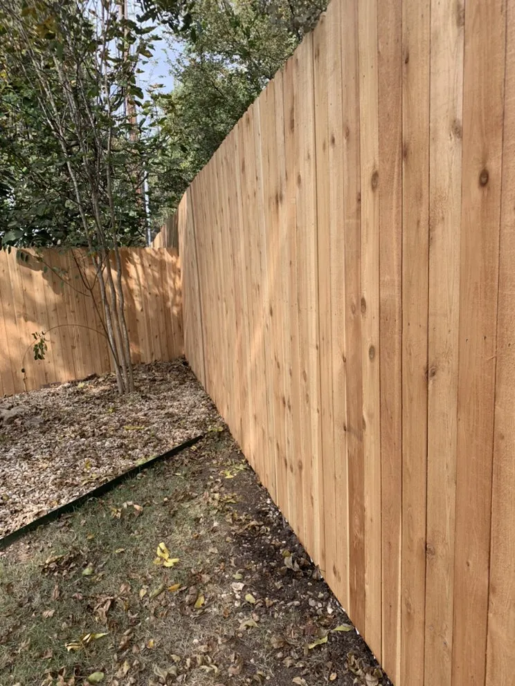 Expert lawn care service experts serving Bee Cave, TX - Optic Landscapes