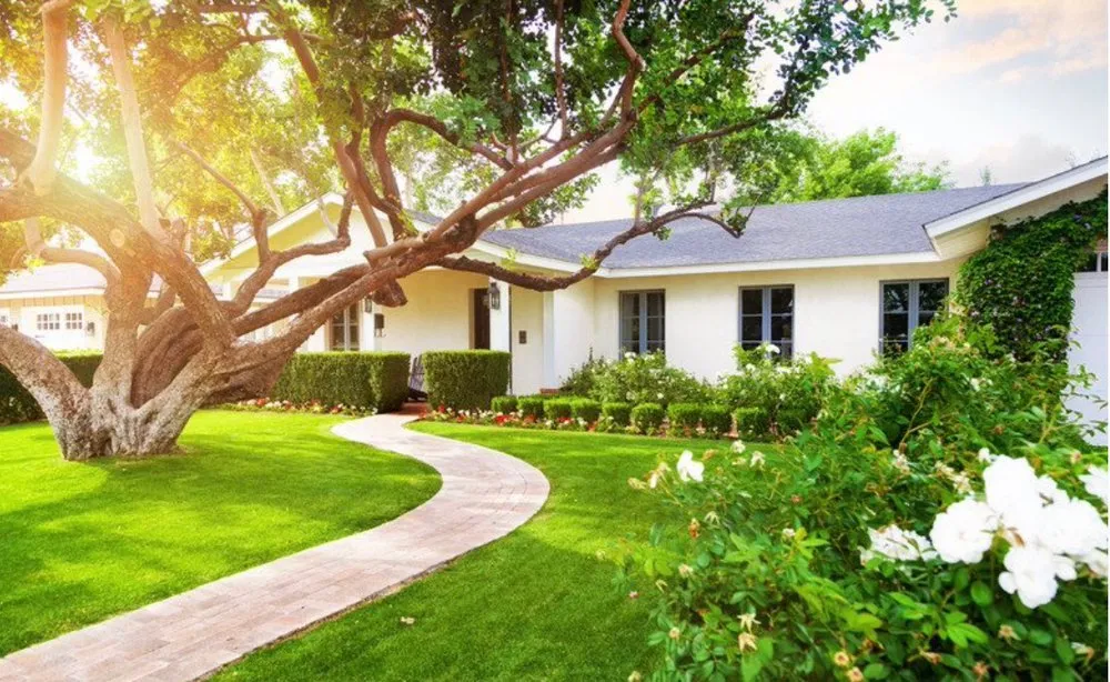 Trusted yard maintenance in Bee Cave, TX by Optic Landscapes