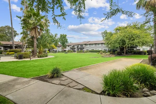 Optima Landscape Logo