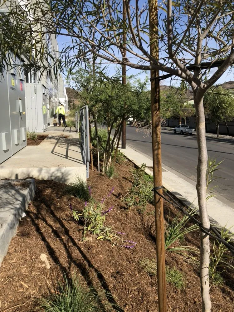 Affordable landscaping services for residential properties in Glendale, CA by Optimal Landscape