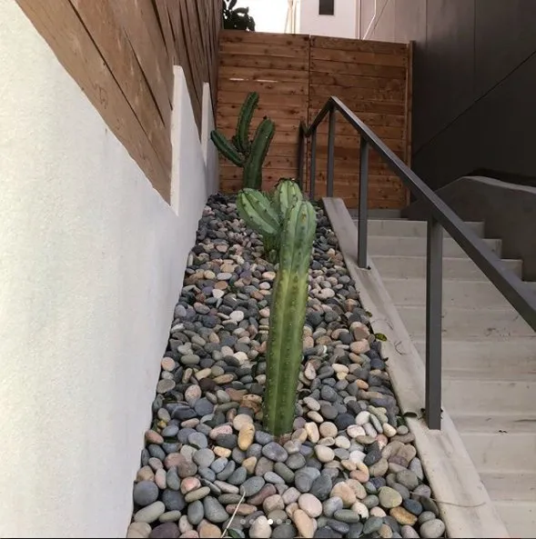 Professional outdoor landscaping for outdoor upgrades in Glendale, CA by Optimal Landscape