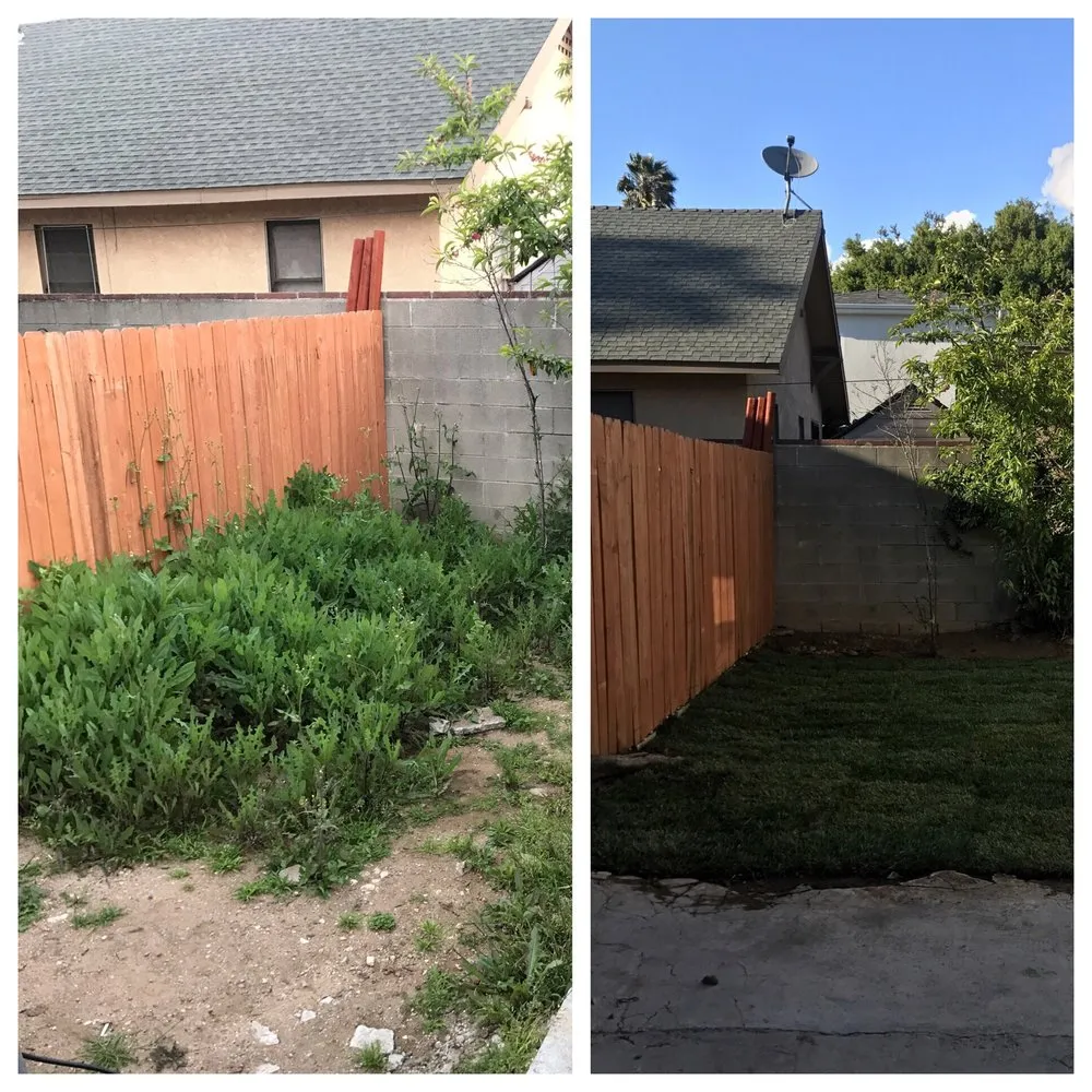 Top-rated landscape design in Glendale, CA - Optimal Landscape