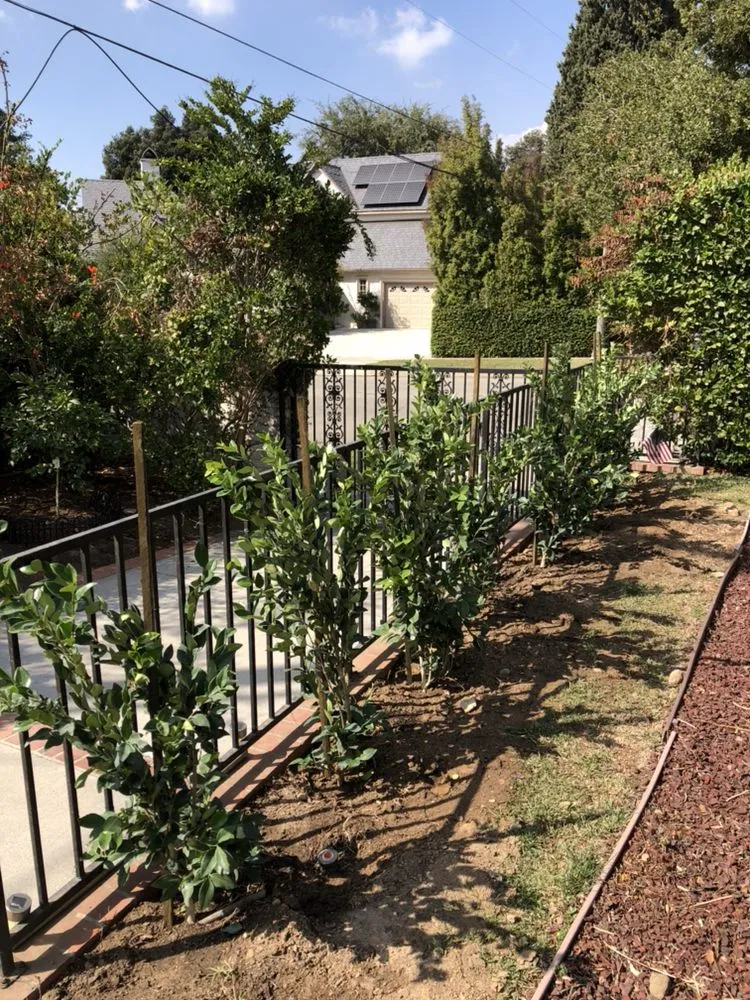 Reliable residential landscaping experts serving Glendale, CA - Optimal Landscape