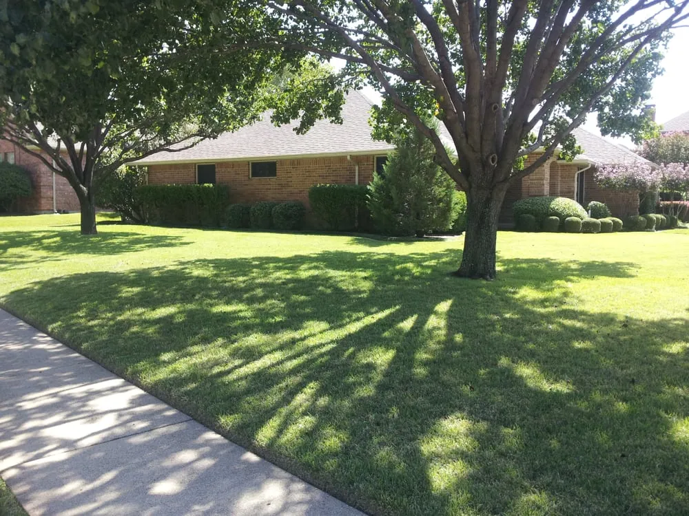 Professional lawn mowing service in Allen, TX by Optimal Lawn & Landscape