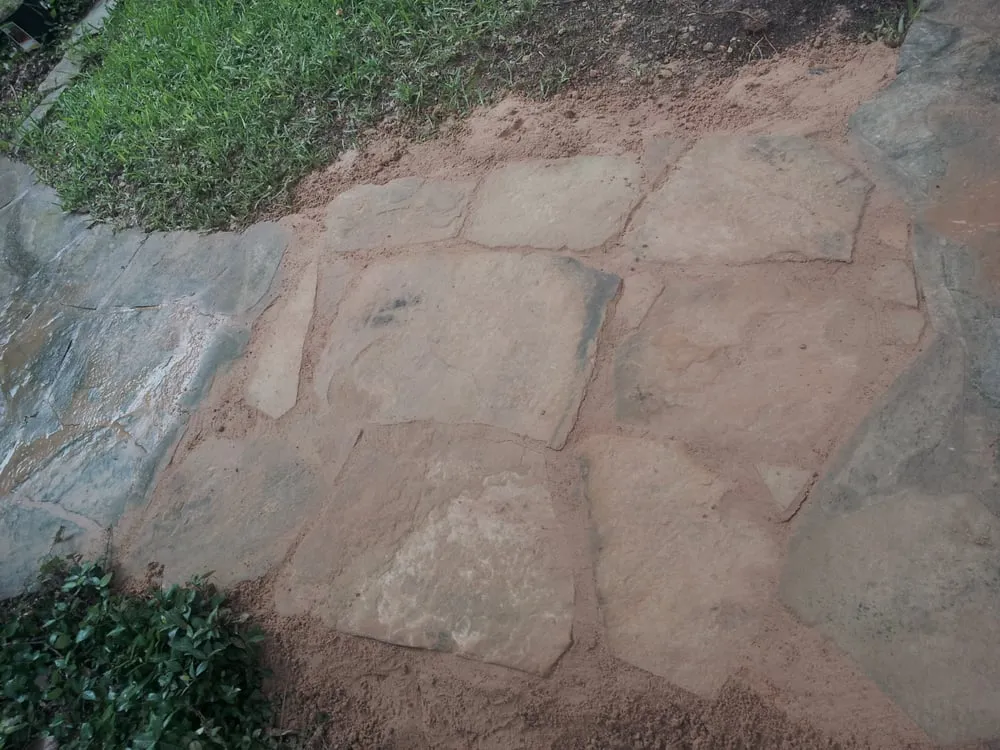 Professional landscape design in Allen, TX - Optimal Lawn & Landscape