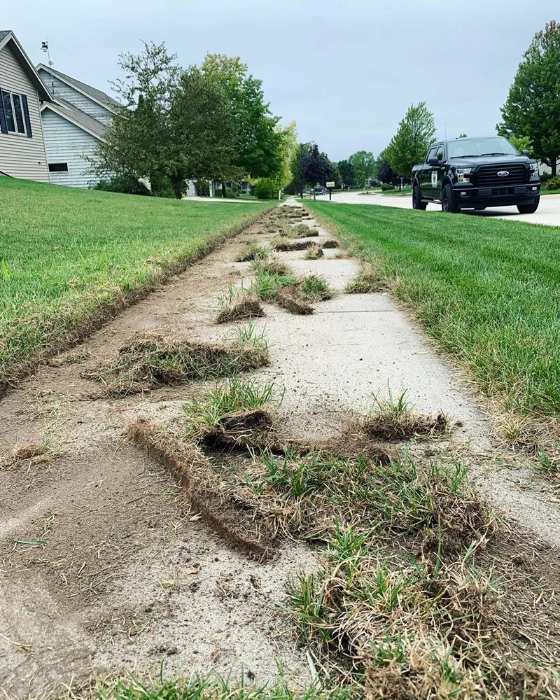 Trusted landscape design in Jackson, WI - Optimal Lawn Maintenance