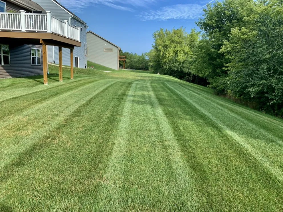 Affordable yard cleanup service experts serving Jackson, WI - Optimal Lawn Maintenance
